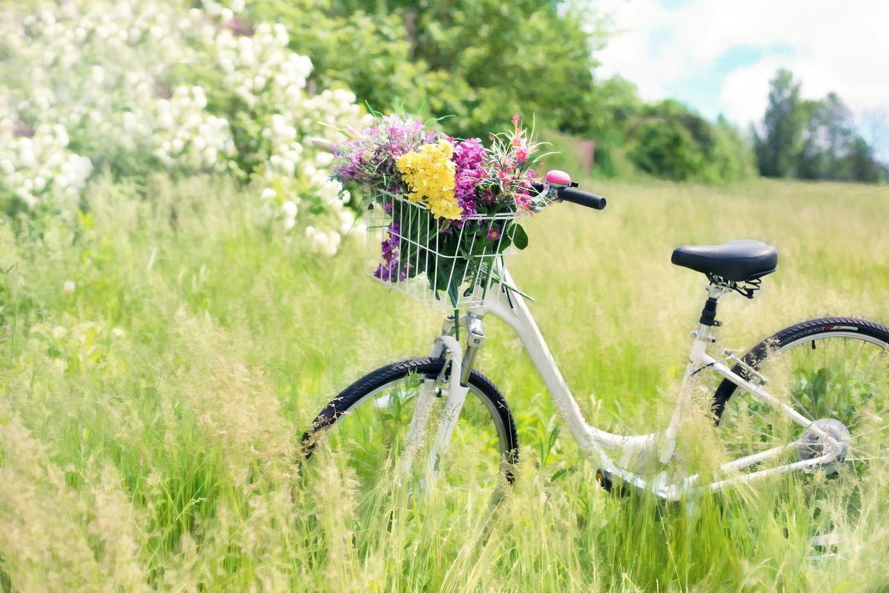 bicikl proljeće