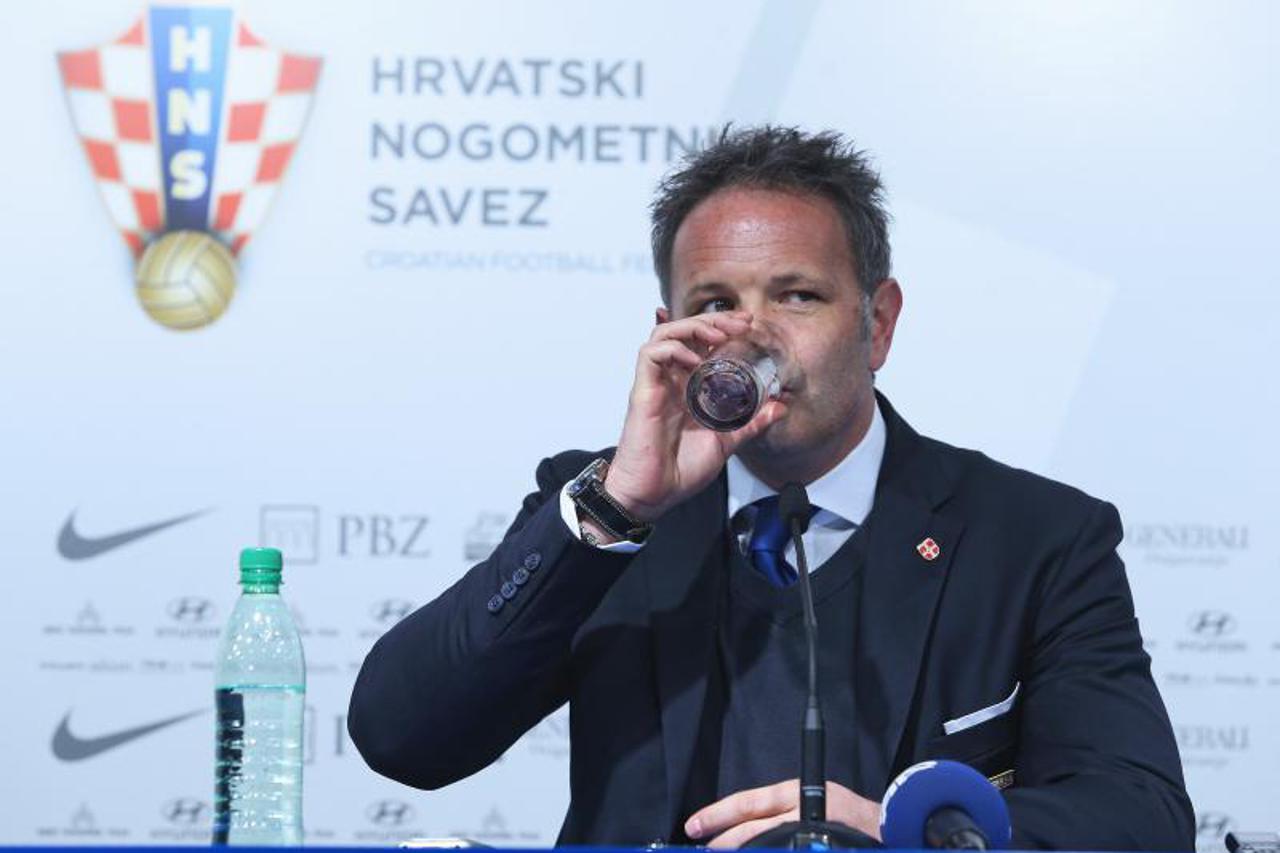 siniša mihajlović