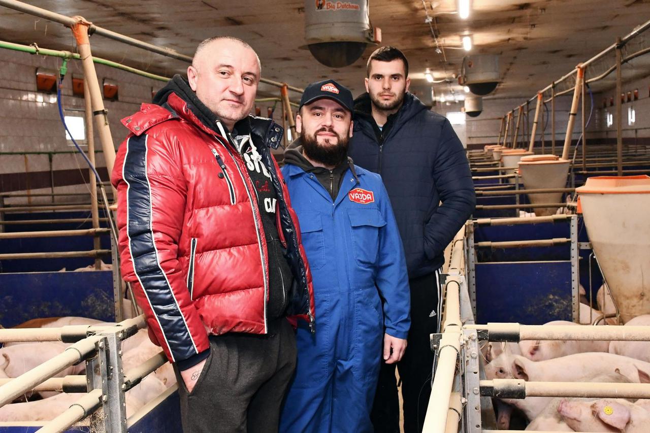 Donja Vrba: Farma svinja OPG Domagoja Becka