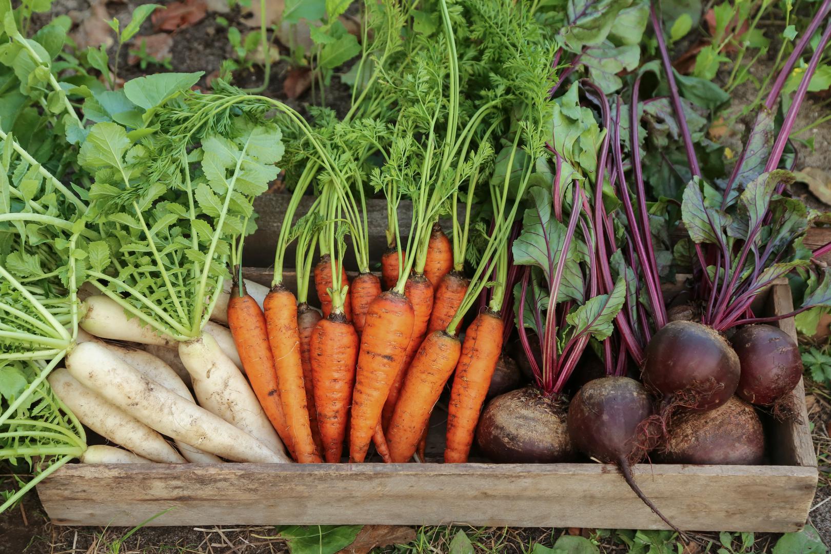10. Uvijek gulite korjenasto povrće: To nije potrebno. Osim ako kožica nije stvarno gruba (celer) ili vrlo debela (određene vrste tikvi), dobro ribanje je sve što im treba. U koži se nalazi većina vlakana, pa je to dobar razlog da ju ostavite.