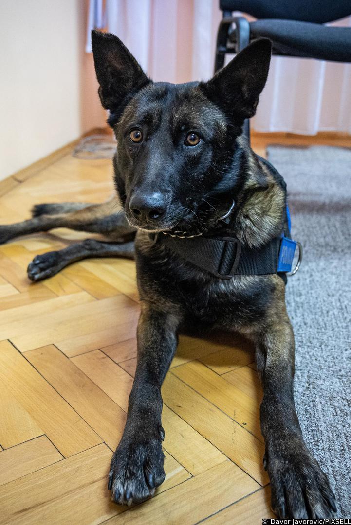 22.02.2023. Osijek - U Policijskoj Upravi osjecko-baranjskoj odrzala se konferencija za medije povodom pronalaska oko 11 kilograma heroina na granicnom prijelazu Batina. Photo: Davor Javorovic/PIXSELL