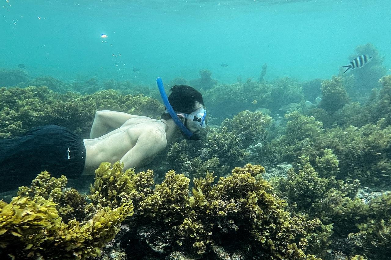 Seychelles in pictures