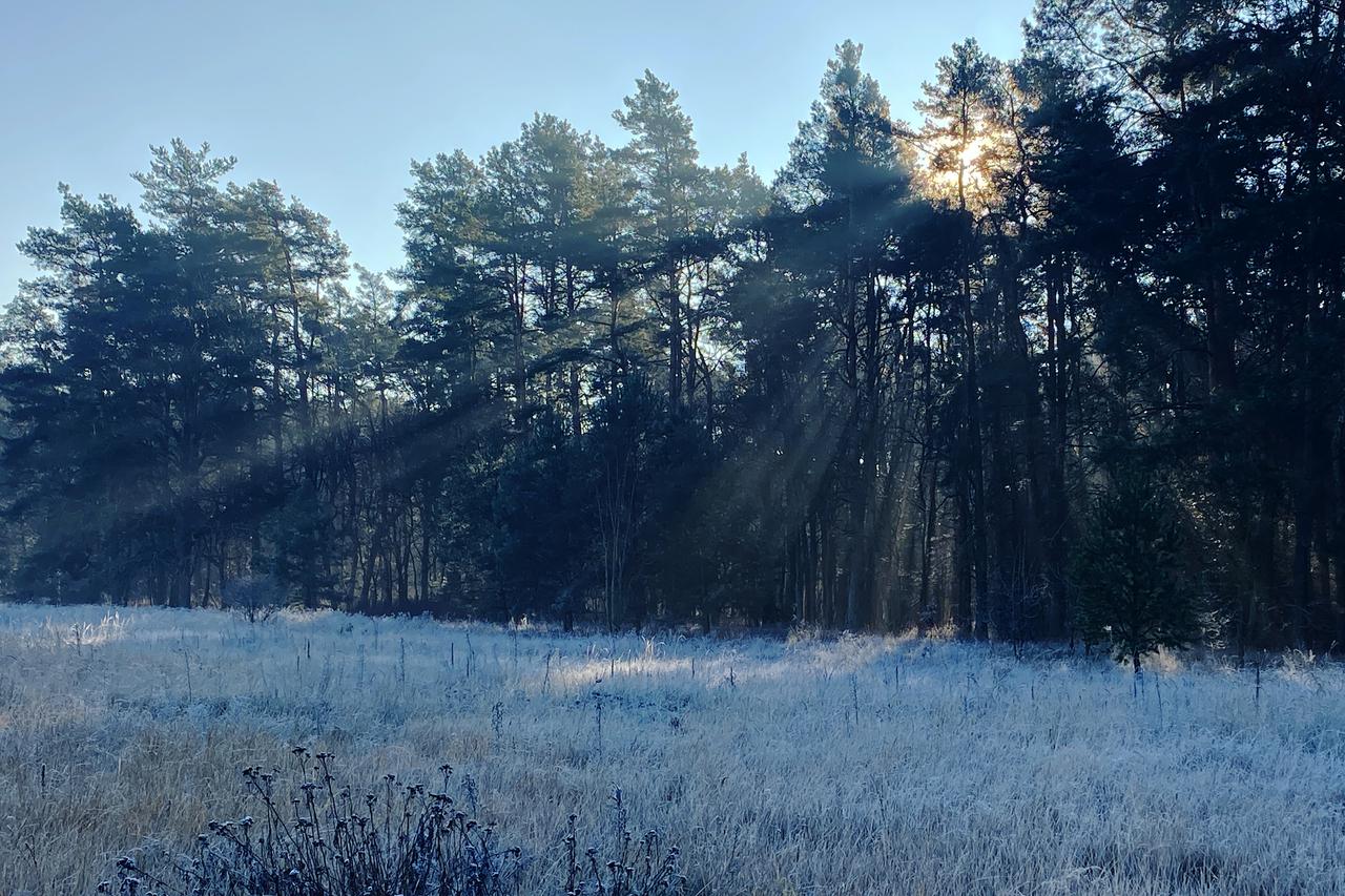 Weather in Brandenburg