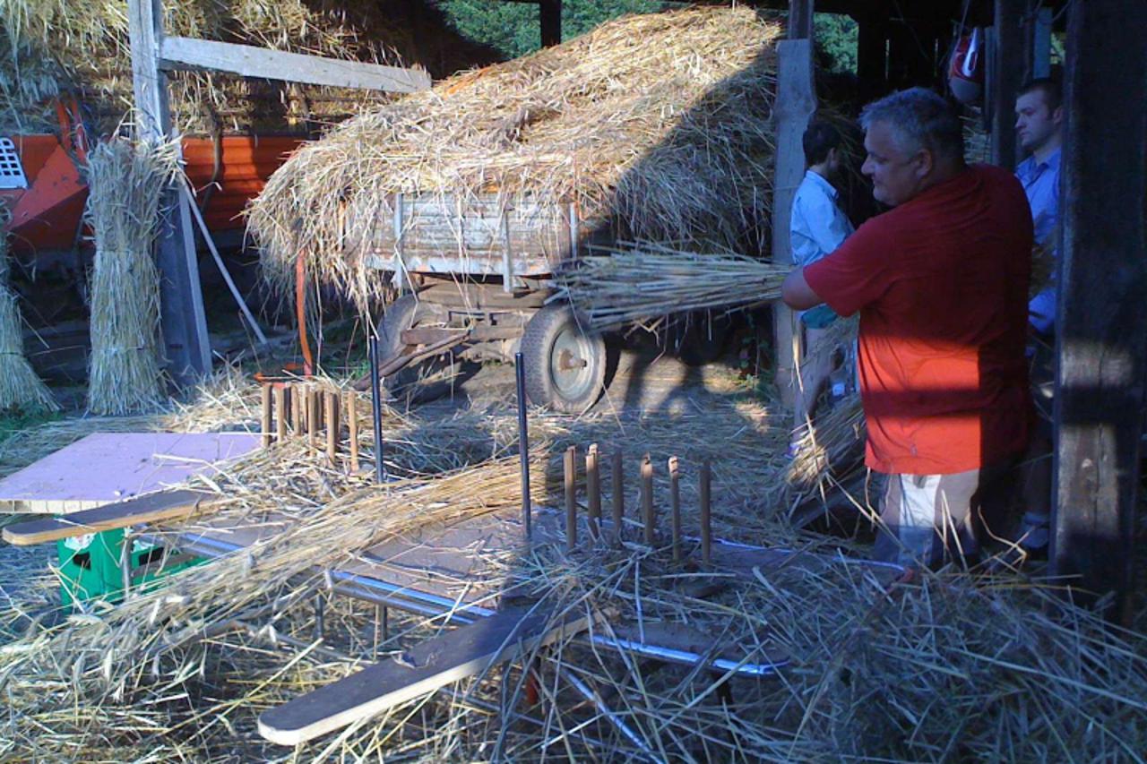 \'Var u0096 06. 08. 2010., Klenovnik u0096 U veseloj zetvi tradicionalne razi za skopove  PHOTO:  presnimila Ljiljana Risek\'
