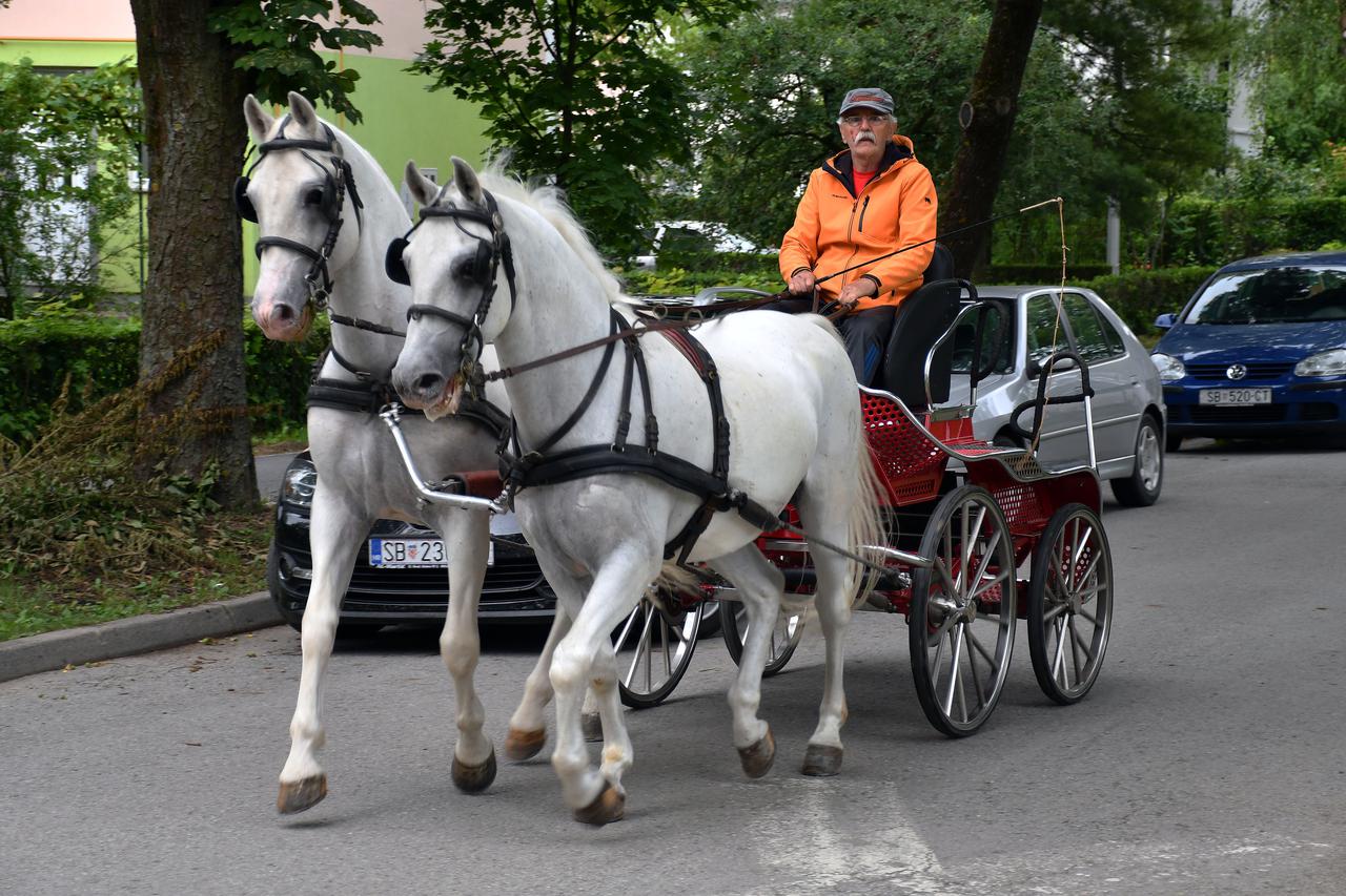 Slavonski Brod: U Osnovnoj školi Antun Mihanović organizirana prezentacija vožnje zaprega