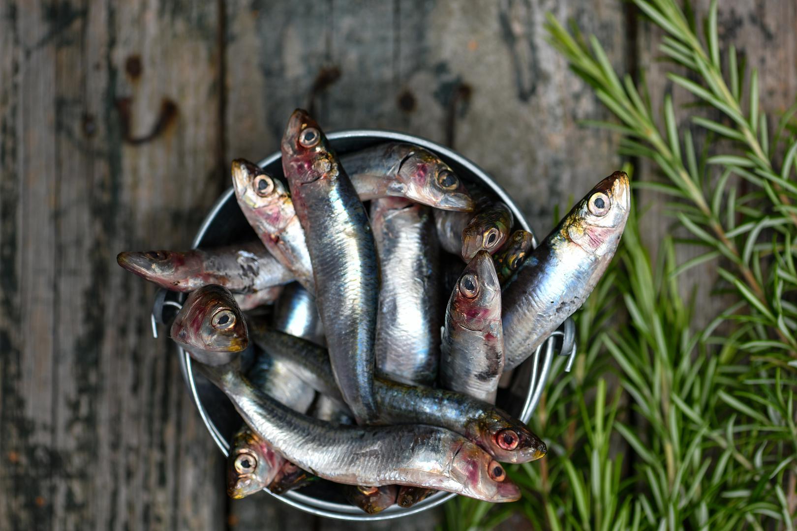 Riba je jedna od najzdravijih namirnica koje možete konzumirati, slažu se stručnjaci. Sadrži proteine, vitamin D, omega 3 masne kiseline, spojeve koji su itekako važni za zdravlje našeg tijela i mozga. 