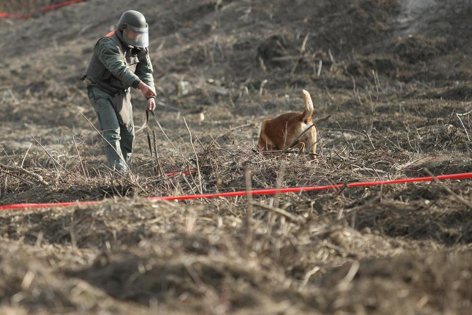 Darda: Pirotehni?ari Mungosa sa psima na terenu na kojem im je stradao kolega