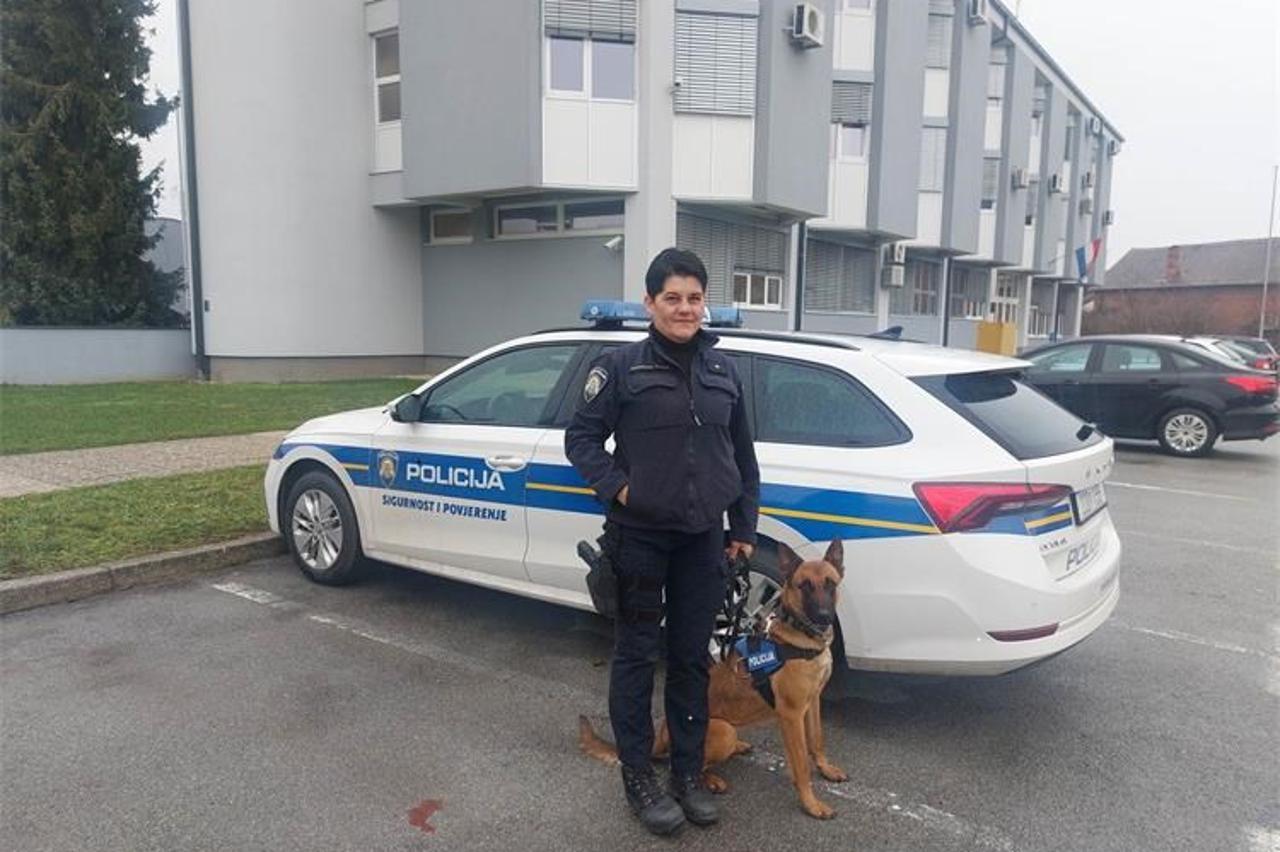 Maya, novi pas tragač