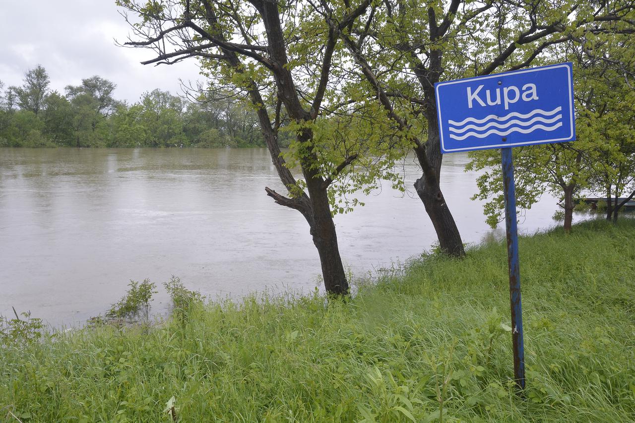Kupa