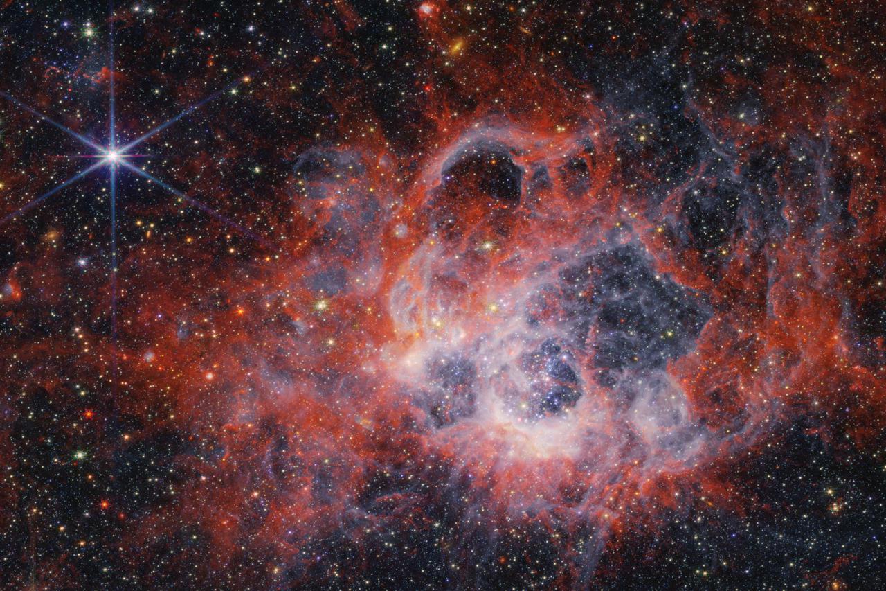 NASA's Webb Space Telescope Peers Into the Tendrils of NGC 604