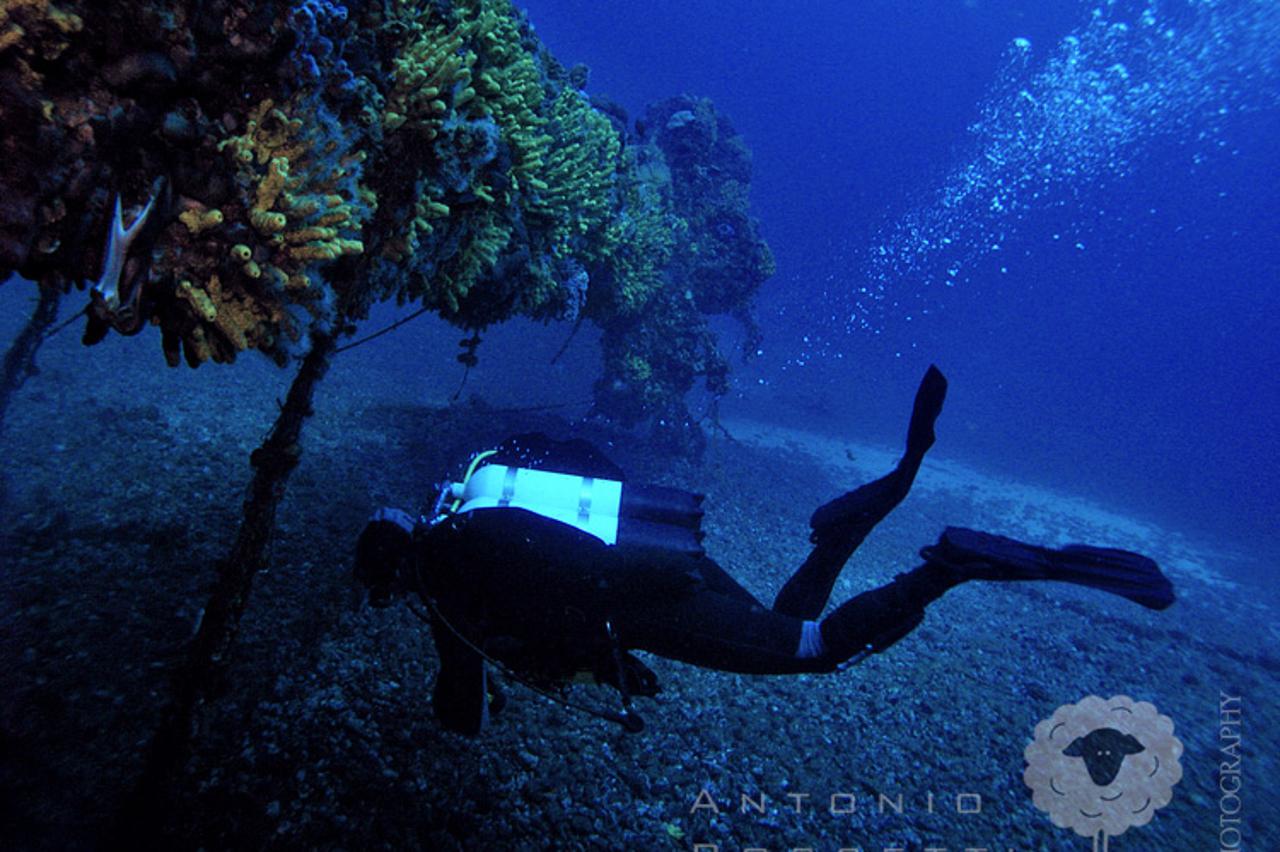 Podvodne fotografije Antonija Rossettija 