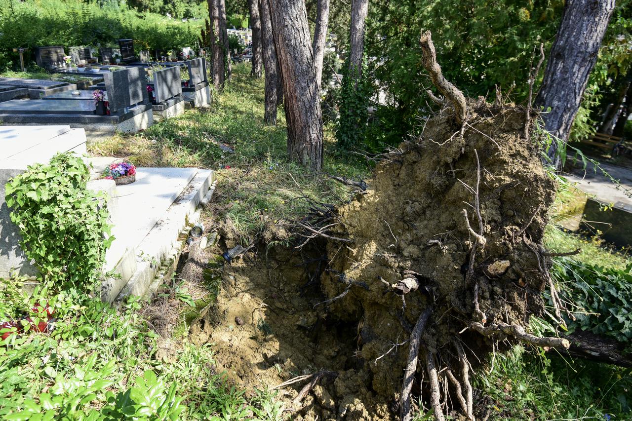 Zagreb: Olujno nevrijeme poharalo Mirogoj, stabala padala po grobovima 