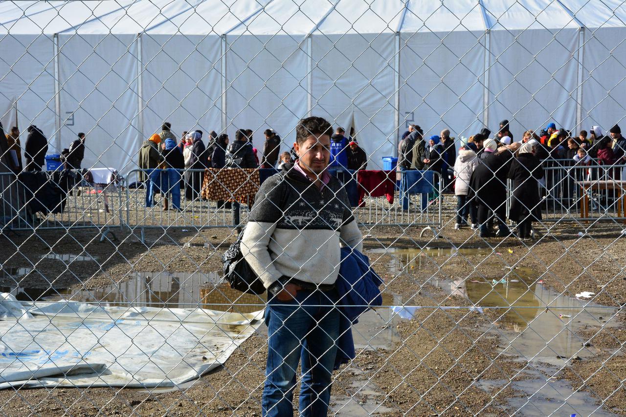 migranti