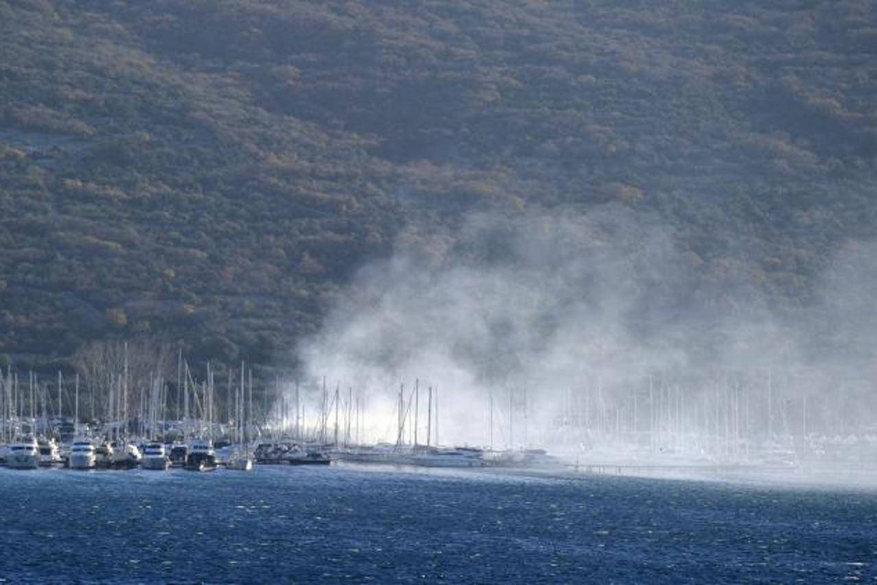 marina punat