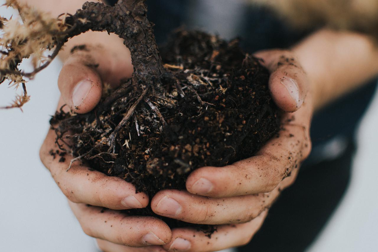 Mali Food Hub #5: Sve što trebate znati o kućnom kompostiranju