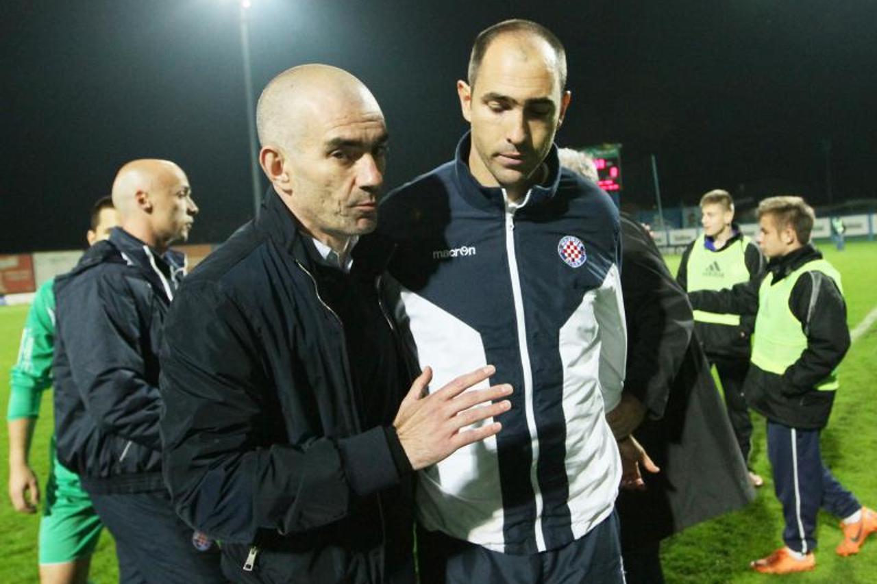 Ljubo Pavasović Visković