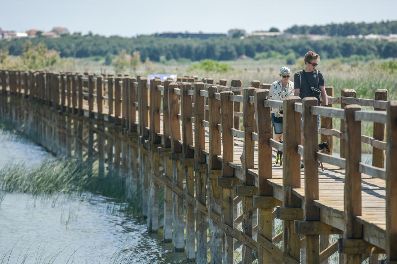 Besplatno edukativno vodstvo ornitologa u Parku prirode Vransko jezero