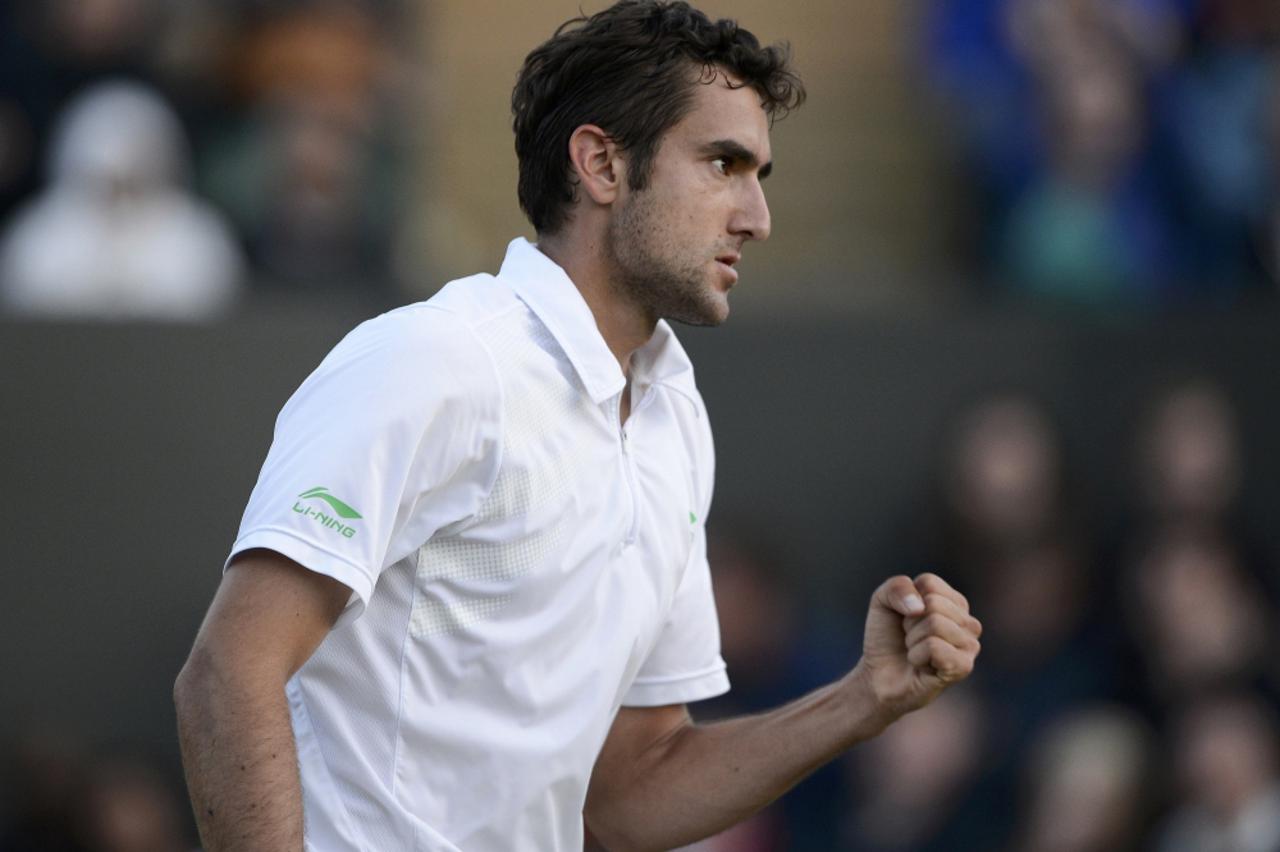 marin čilić (1)