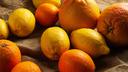 How Vitamin C Deficiency Destroys Health: The Brain is the First Victim, and These Are the Early Signs Everyone Ignores