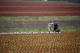 Osigurane potpore za modernizaciju proizvodnje, stočarstvo, seoski turizam...