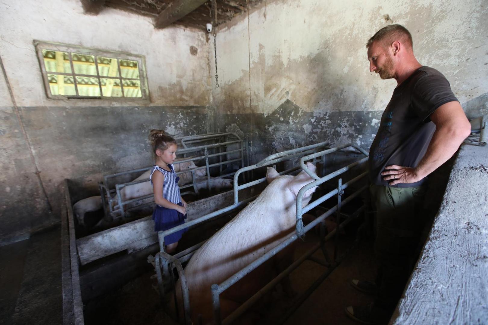 21.07.2020., Velika Gorica - Goran Speka, u selu Drnek kraj Oborova, bavi se stocarstvom i svinjogojstvom sa suprugom Ivanom i djecom Lucijom, Martinom i Matijom. 
Photo: Boris Scitar/Vecernji list/PIXSELL