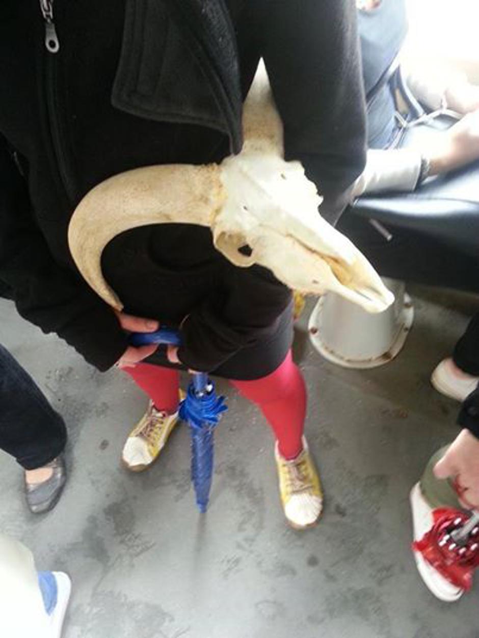 Uživo iz zagrebačkih tramvaja