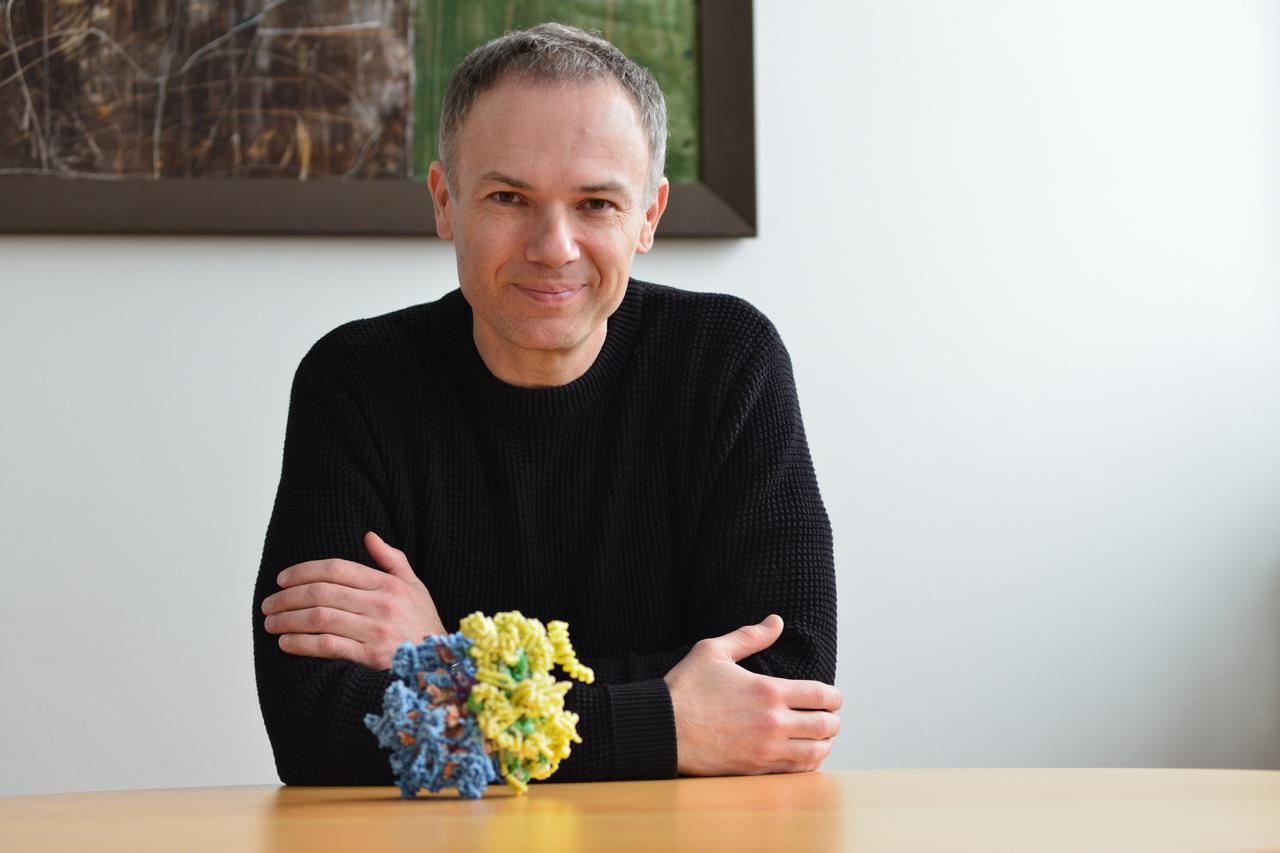 Nenad Ban