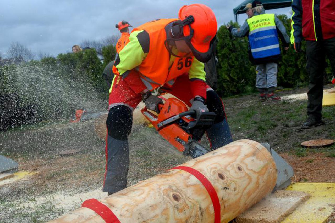 šumarska olimpijada (1)