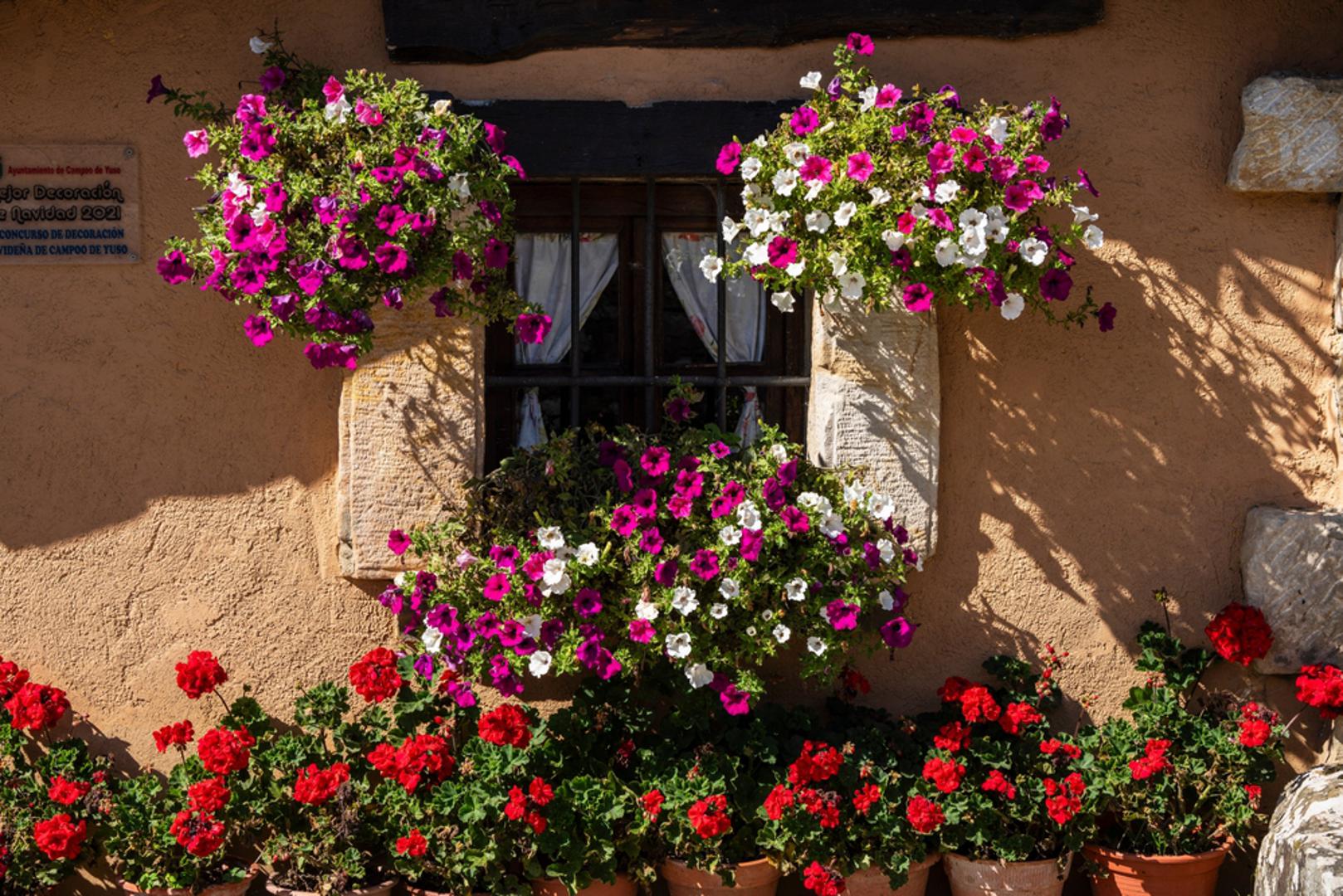 Niži troškovi života: Cijene nekretnina, režija i osnovnih životnih potreba na selu su znatno niže nego u gradu. Život na selu može značiti financijsku stabilnost i manji pritisak na kućni budžet, omogućujući ljudima da više uživaju u životu.