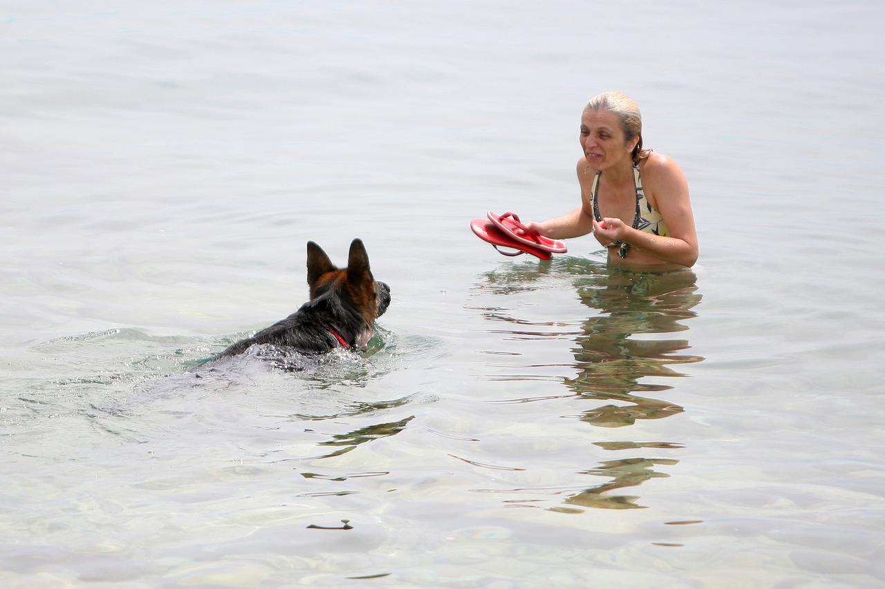 14.07.2013., Crikvenica - Crikvenicka plaza za pse Podvorska prva je na top listi 5 najboljih psecih plaza na Jadranu.Photo: Borna Filic/PIXSELL