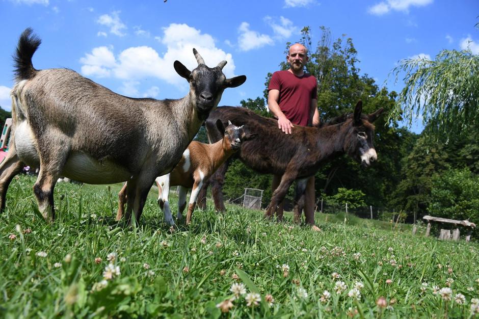 Hrvoje Gregurić na svom ranču Grgin konak živi sam u šumi s 300-ak životinja