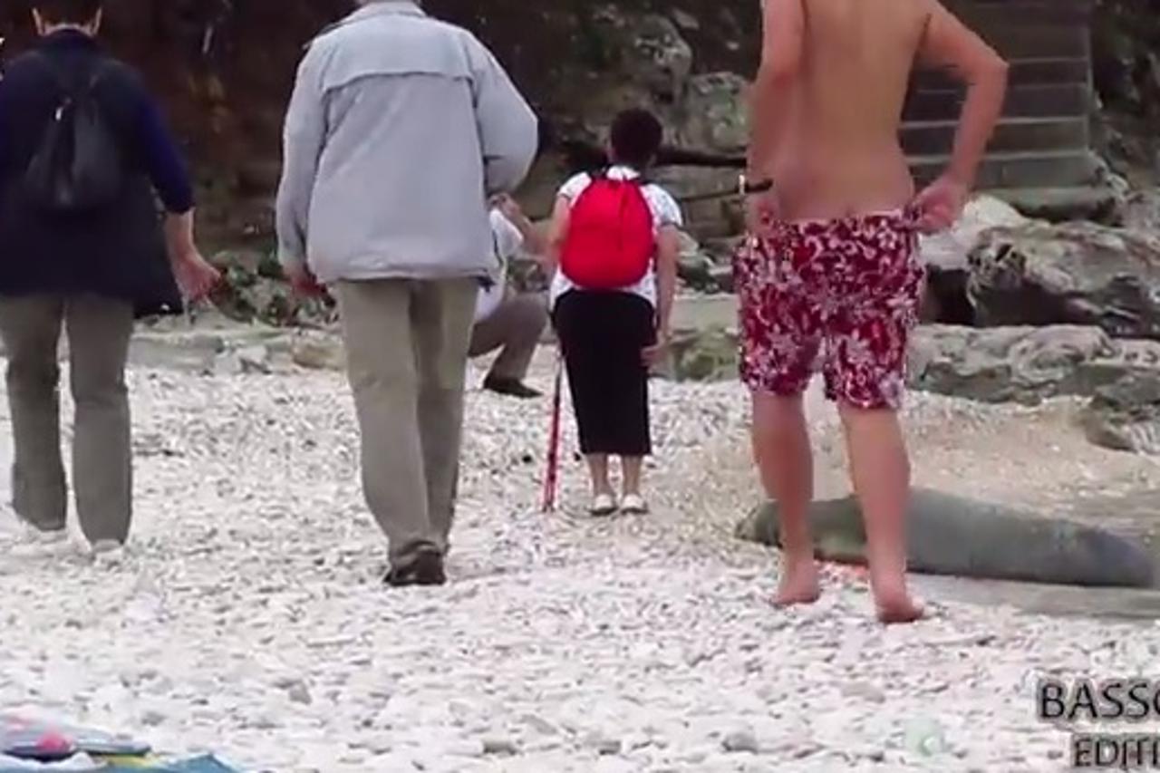 Turisti napali sredozemnu medvjedicu