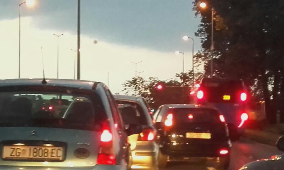 Buzin - na cestu palo stablo