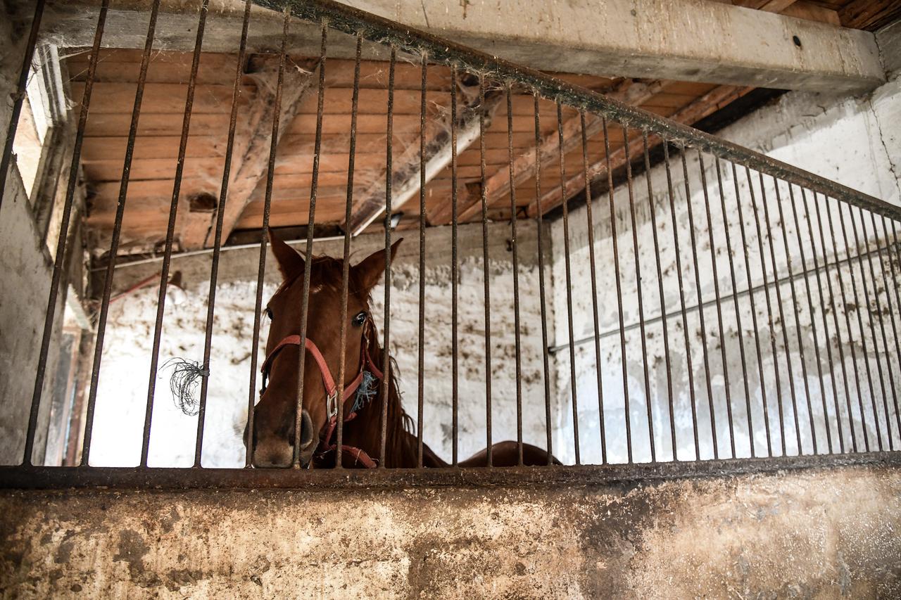 Zagreb: Ustanova za upravljanje sportskim objektima novinarima je dopustila obilazak Hipodroma 