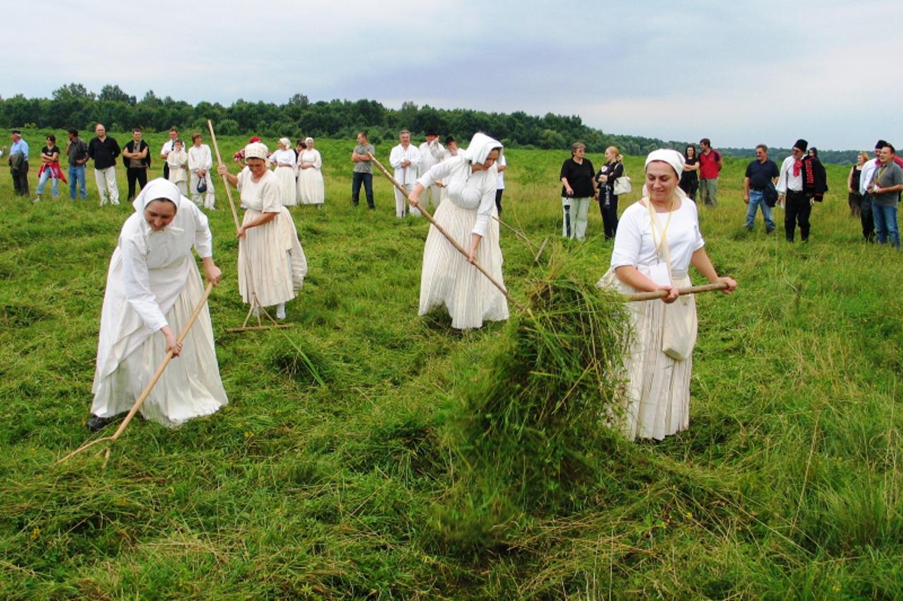 'kosci02_bo1_sis_020810'