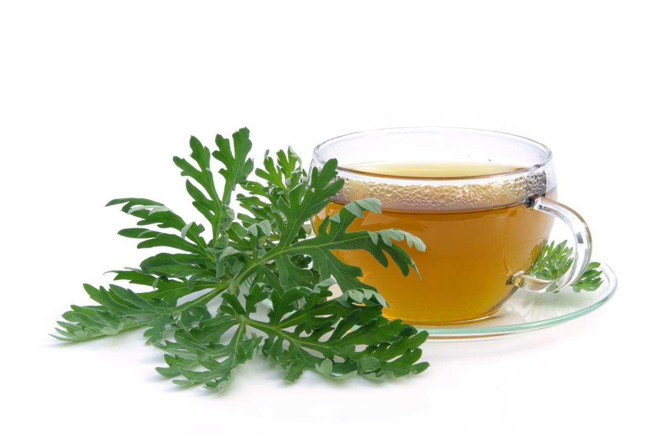 Травяной настой белый фон. Чай может вызвать изжогу. Полынь чай. Чай может вызвать изжогу. Чай может вызвать изжогу.