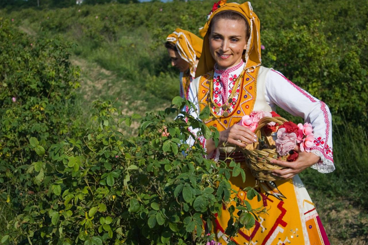 Bugarska ruže