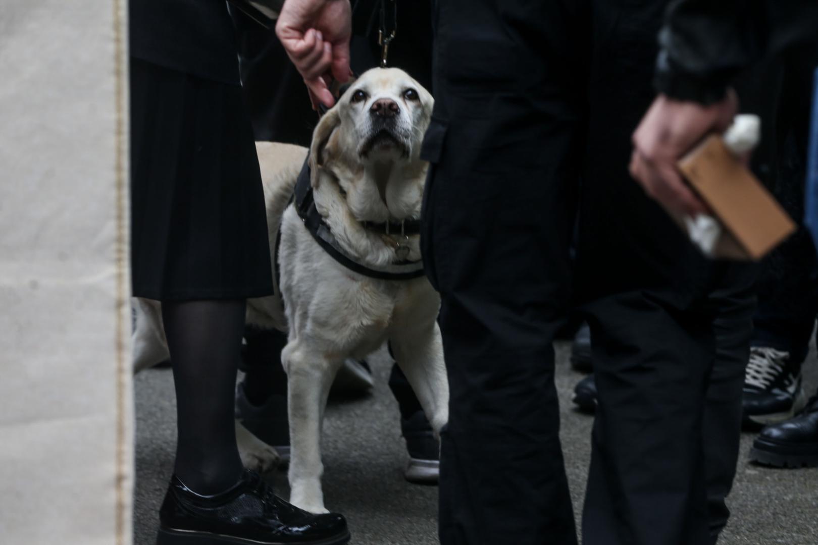 Posebno je emotivan bio dolazak Vujoševićeve supruge Ane i sina Luke, a Ana Vujošević sa sobom je povela i posebnu gošću.
