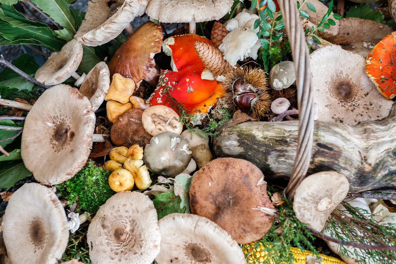 3. Samoborska čvarkijada