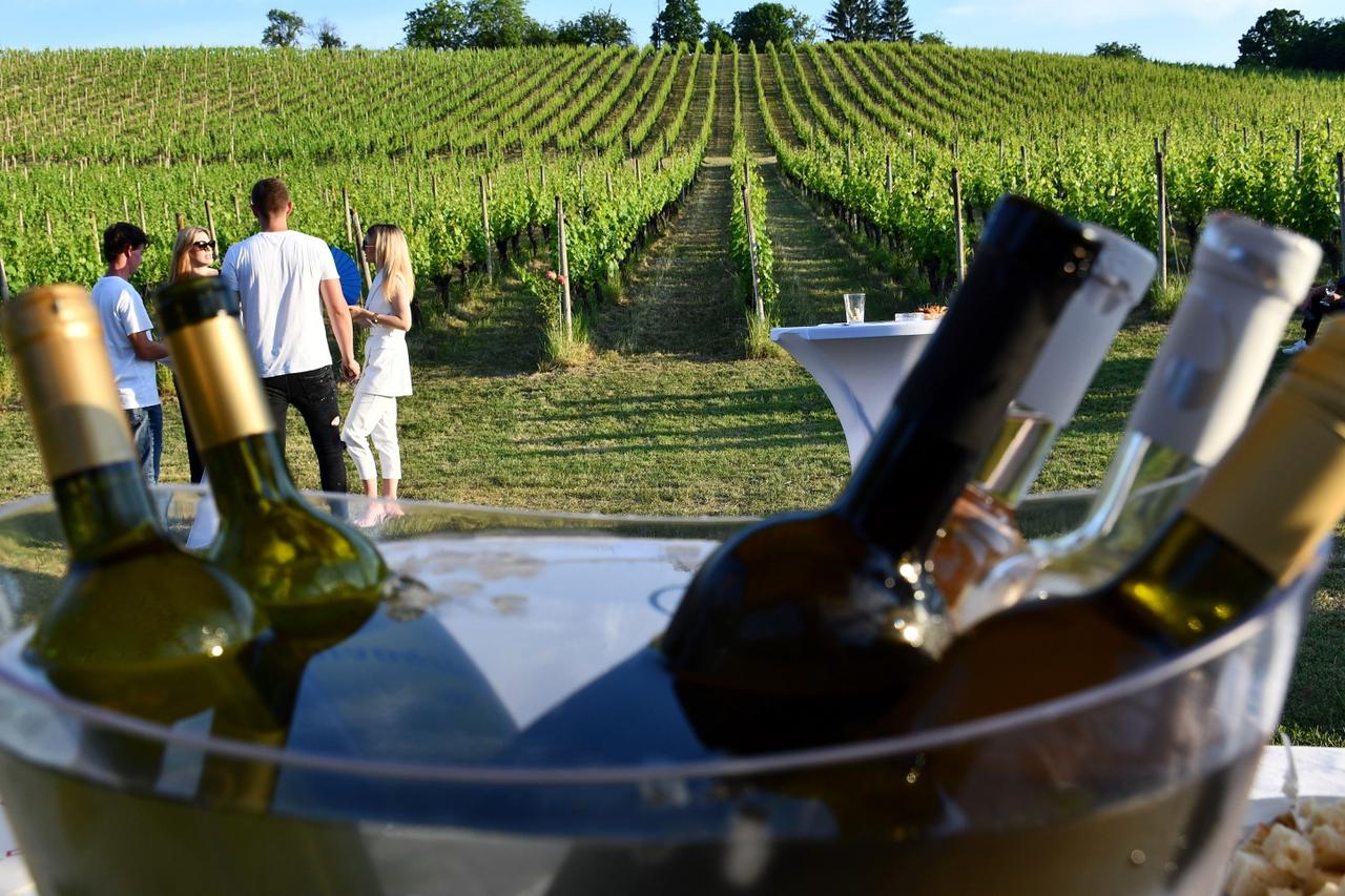 Enološko-gastronomska manifestacija "Zalazak u vinogradu"