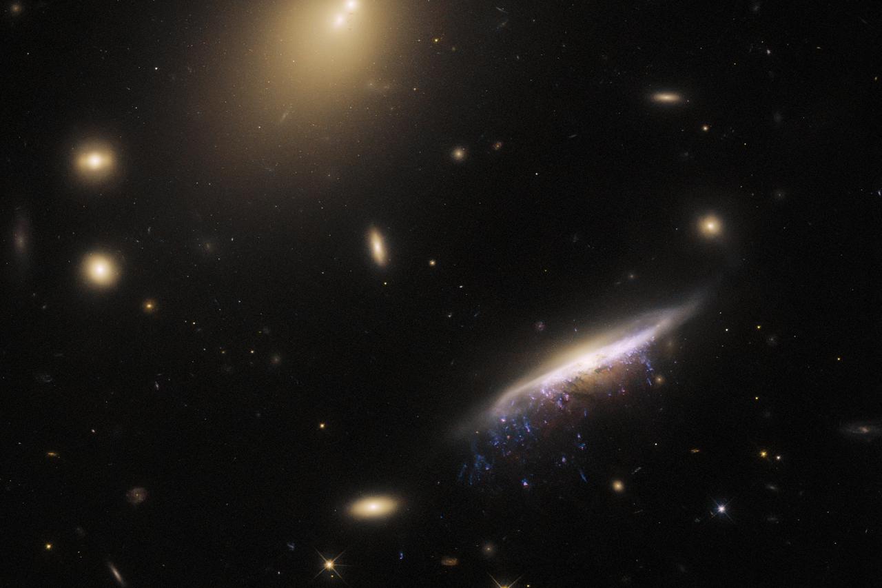Hubble Snaps Beautiful 'Jellyfish' Galaxy