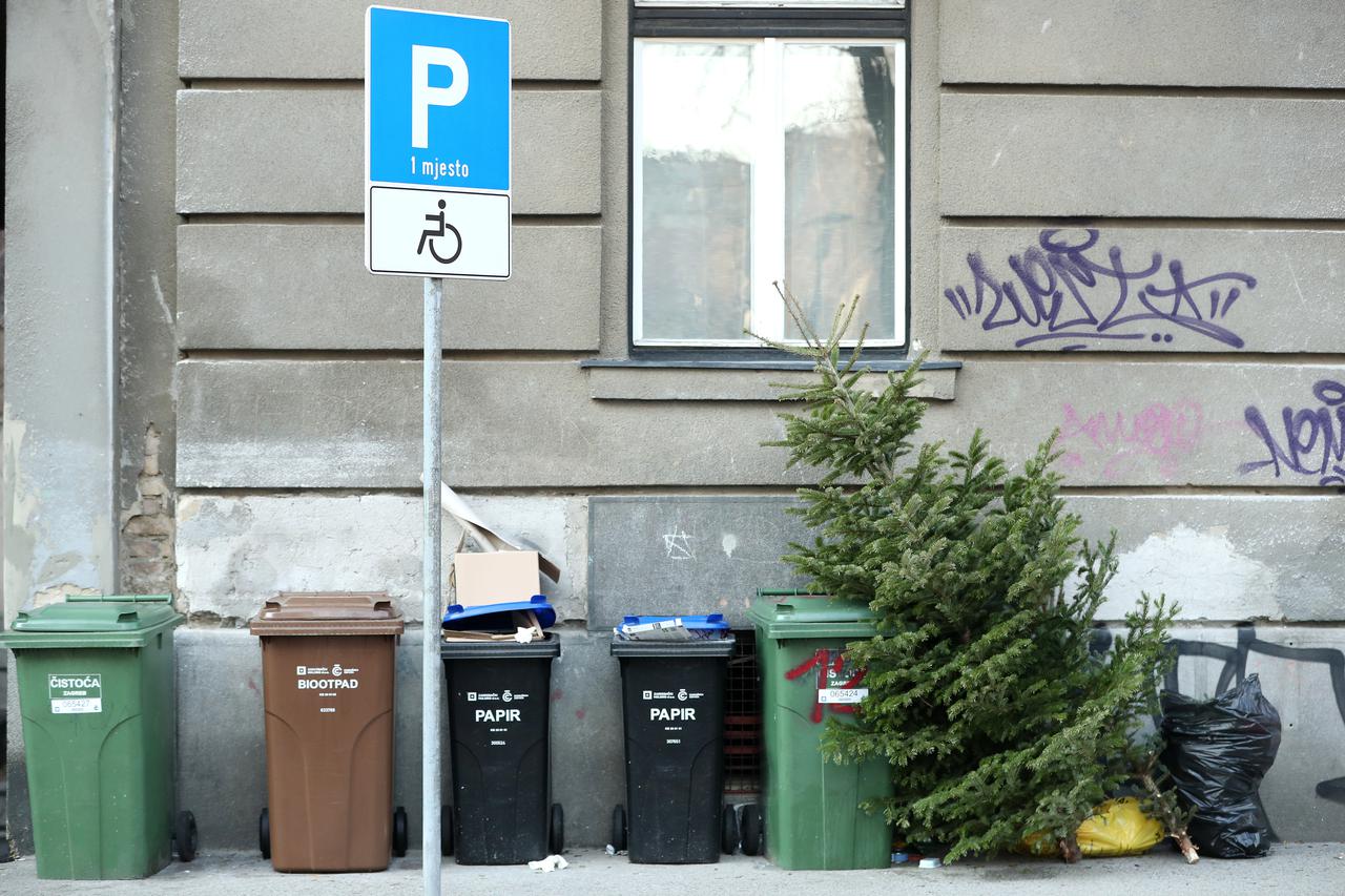 Zagreb: Odbačena božićna drvca po gradu