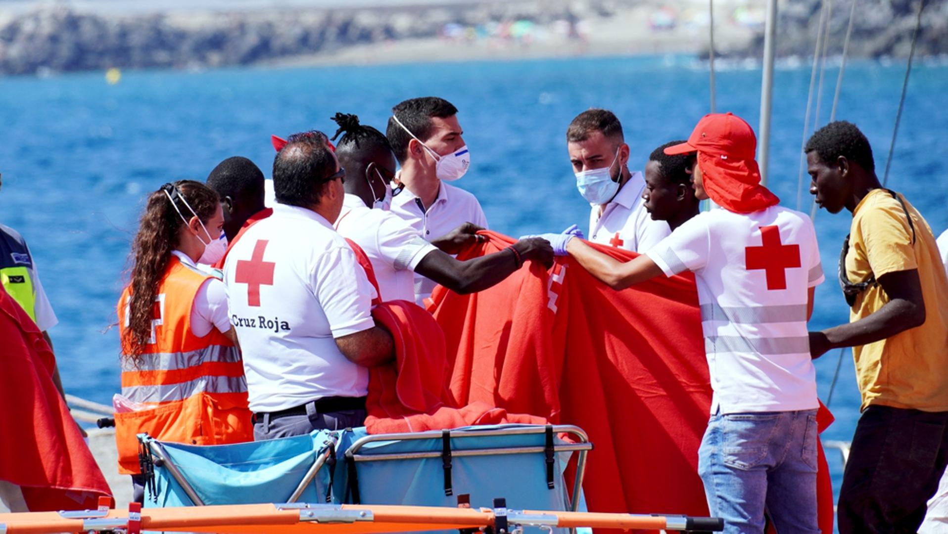 Migranti i izbjeglice: Migranti, prognanici, izbjeglice i žrtve trgovine ljudima imali su posebno mjesto u papinim porukama i djelovanju. Papa Franjo pozivao je katolike i sve ljude dobre volje da prema njima pokažu otvorenost, zaštitu, promicanje dostojanstva i uključivanje u društvo. Ustrajno je ponavljao da je riječ o ljudima prisiljenima napustiti domovinu u potrazi za boljom budućnošću i da ih Crkva ne smije ostaviti po strani.