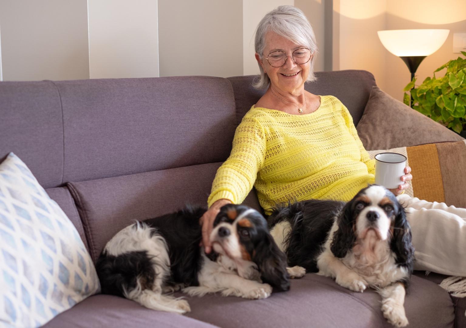 Cavalier King Charles španijel: Ovaj nježni pratilac obožava ljudsko društvo i najradije je uz vlasnika, bilo na kauču ili u laganoj šetnji. Treba mu svakodnevno kretanje, ali obično je zadovoljan umjerenim izlascima i kratkim igrama u stanu. Dlaka traži redovito četkanje, no karakter mu je uglavnom blag i prilagodljiv.