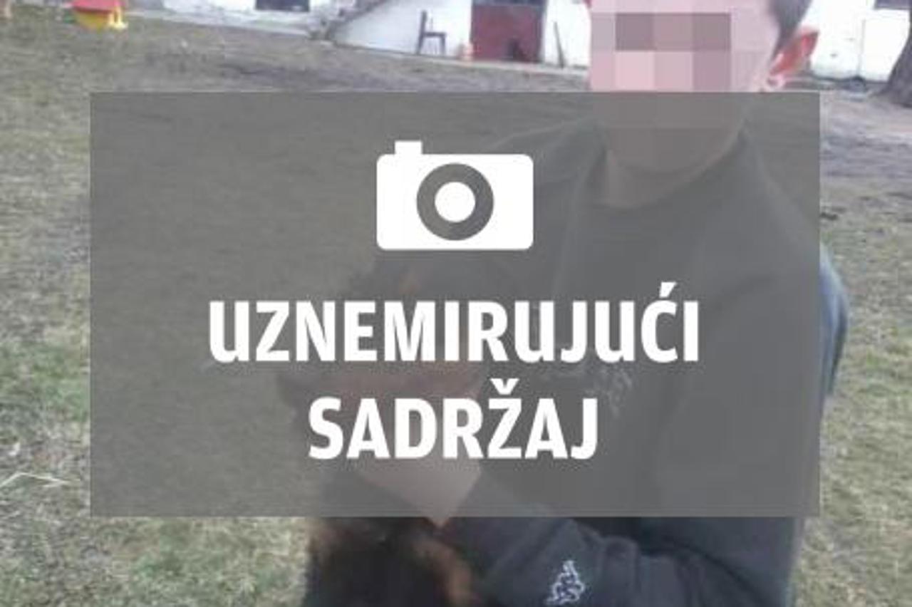 psi Srbija