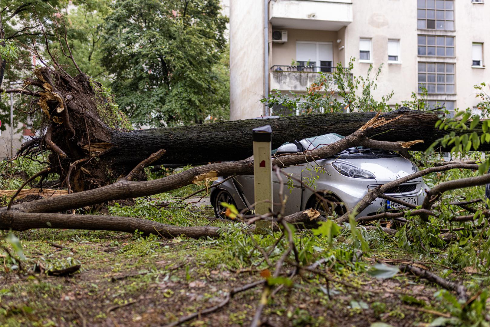 Prometnica prema Sveučilišnoj kliničkoj bolnici (SKB) Mostar bila je blokirana zbog oborenog drveća i grana, koje od jutros uklanjaju vatrogasci i komunalne službe.