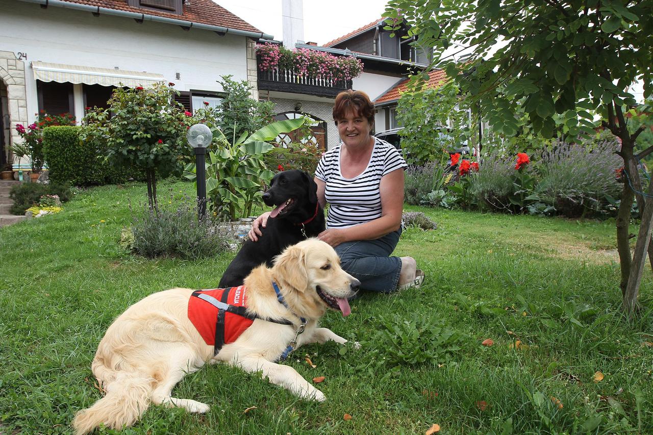 Silver socijalizatori