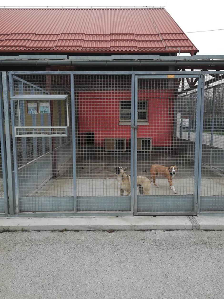 Sklonište Dumovec nakon potresa