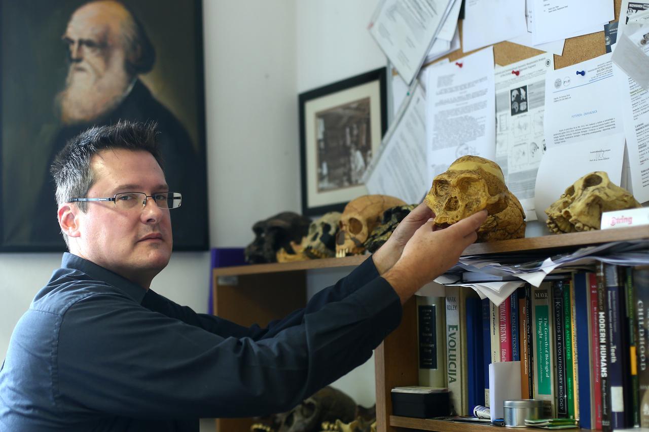 27.10.2015., Zagreb - Ivor Jankovic, pomocnik ravnatelja na Institutu za antropologiju. Photo: Sanjin Strukic/PIXSELL