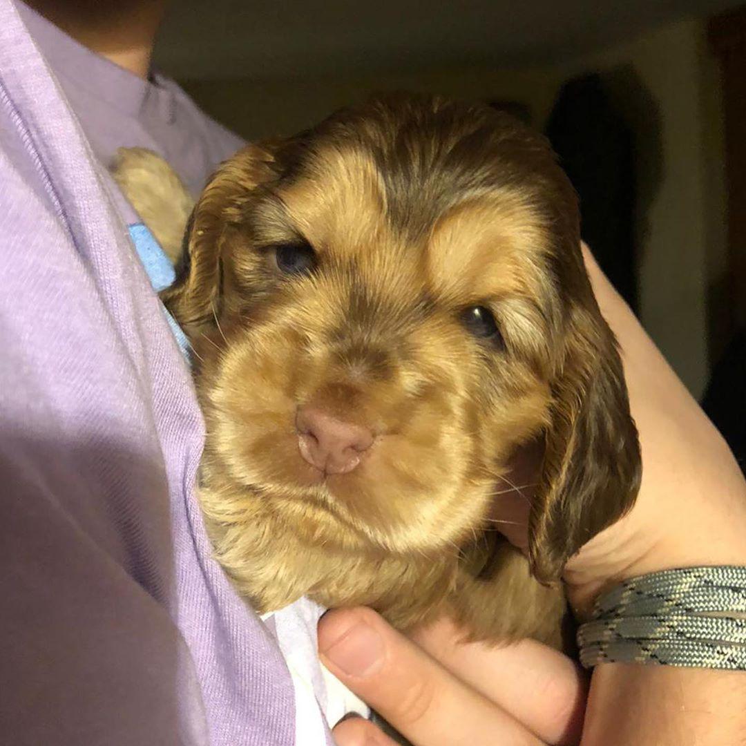 Na Instagramu je prati više od 300 tisuća ljudi. 